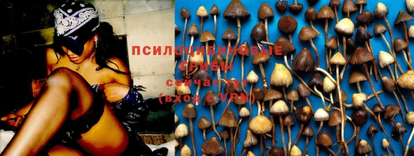 спиды Нефтегорск